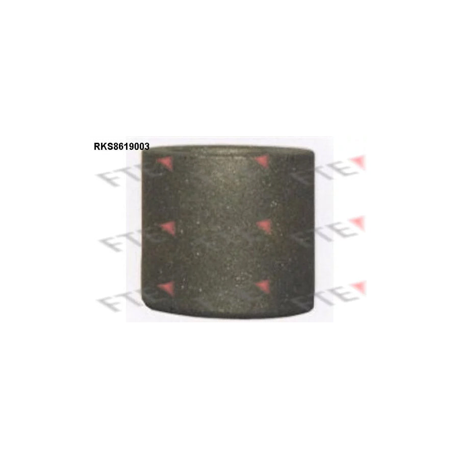 FTE 9313146 Piston, Brake Caliper