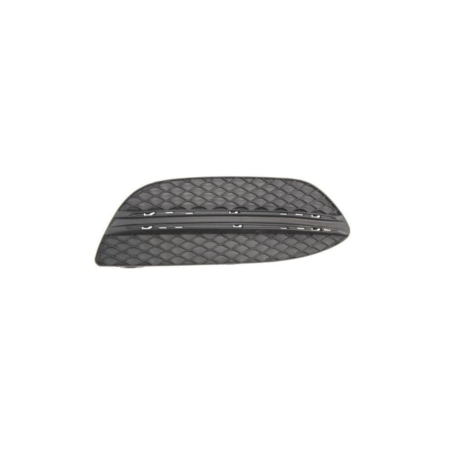 Blic 6502-07-3521916P Bumper Grill Suitable for Mercedes-Benz C-Class