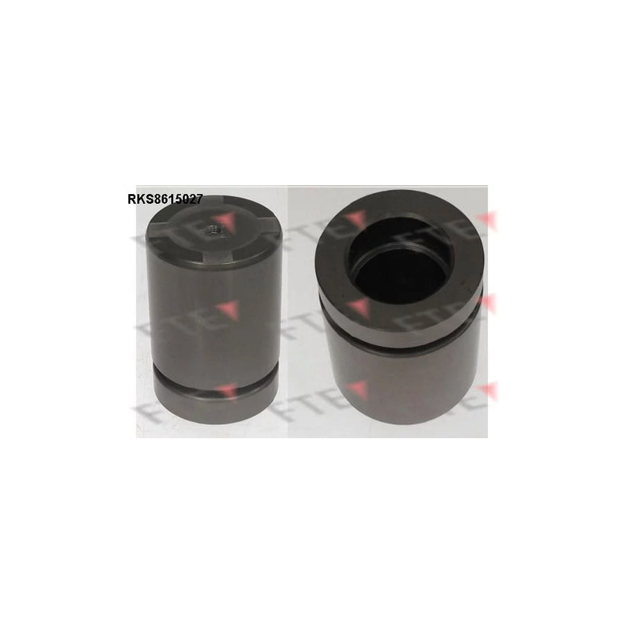 FTE 9313142 Piston, Brake Caliper