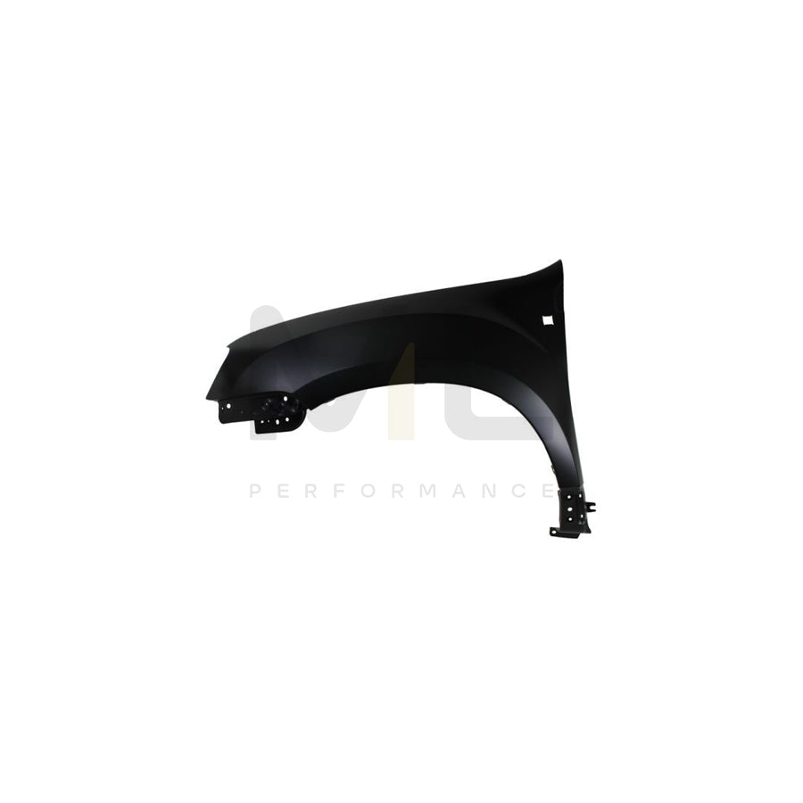 BLIC 6508-04-1617701PP Trim / Protective Strip, roof for NISSAN Qashqai / Qashqai+2 I (J10, NJ10)