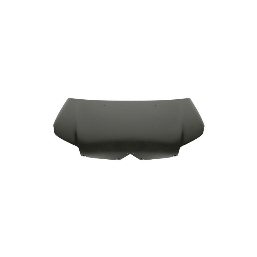 Blic 6803-00-0526280P Bonnet for Citroen C5