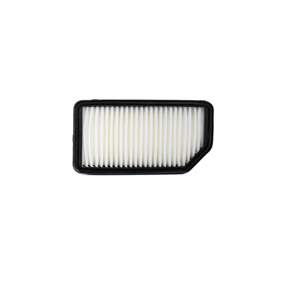 Champion CAF100879P Air Filter