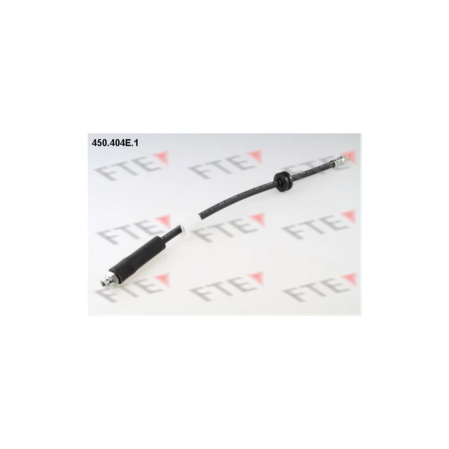 FTE 450.404E.1 Brake Hose