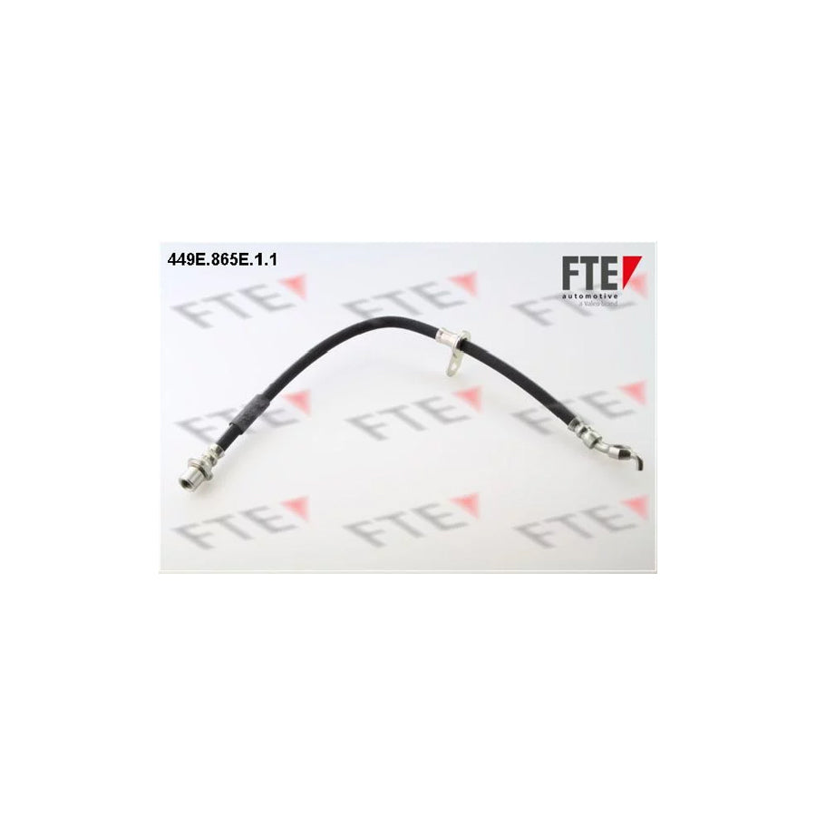 FTE 449E.865E.1.1 Brake Hose
