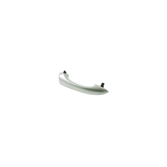 Genuine BMW 51217002312 E53 Handle Bracket Right TITAN (Inc. X5 4.6is, X5 4.8is & X5 4.4i)