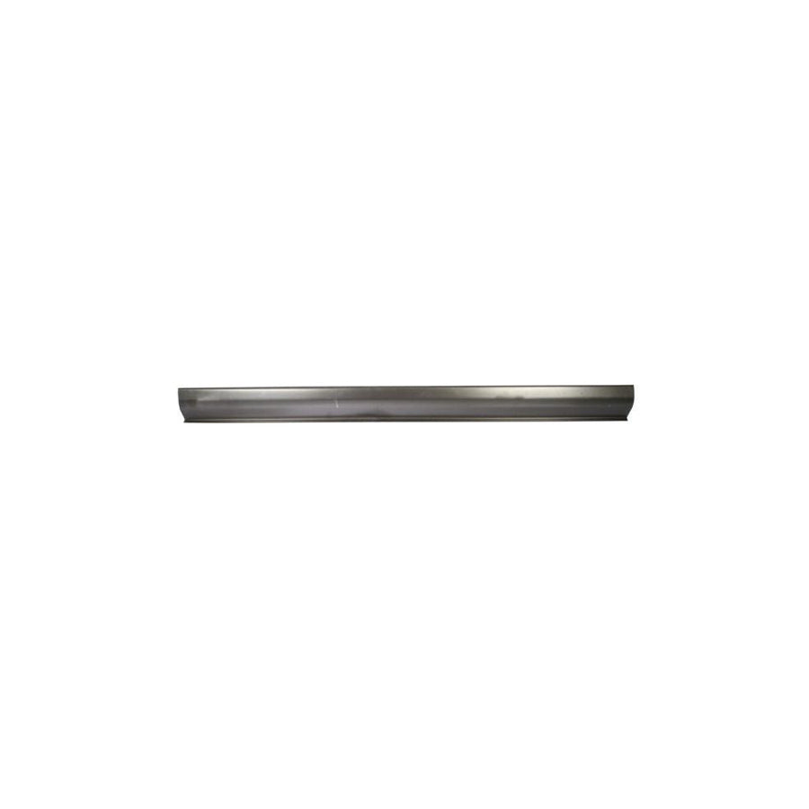 Blic 6601-01-2534832P Repair Panel For Ford Focus C-Max (Dm2)