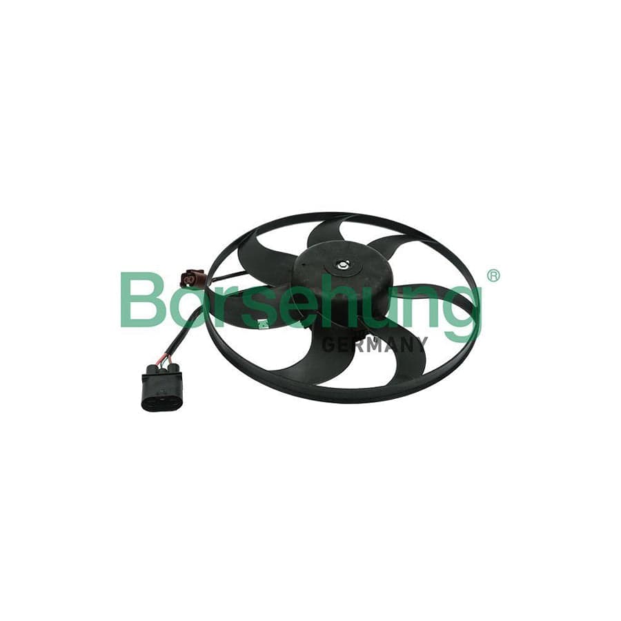 Borsehung B11496 Fan, Radiator