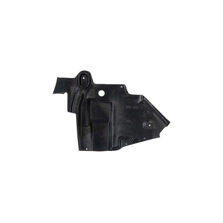 Blic 6601-02-1632874P Engine Cover for Nissan Almera