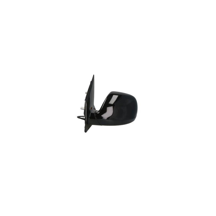 Blic 5402-04-0104091P Wing Mirror
