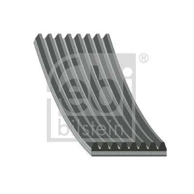 Febi Bilstein 29040 V-Ribbed Belt | ML Performance UK Car Parts
