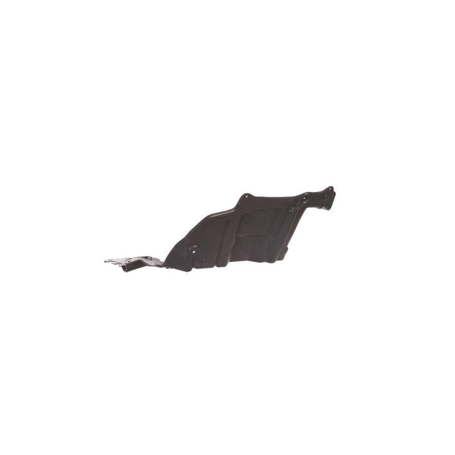 Blic 6601-02-1632871P Engine Cover for Nissan Almera