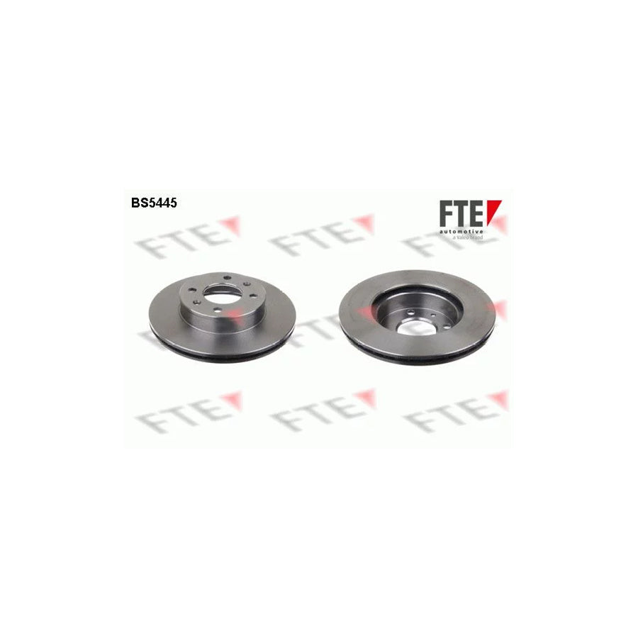 FTE Bs5445 Brake Disc