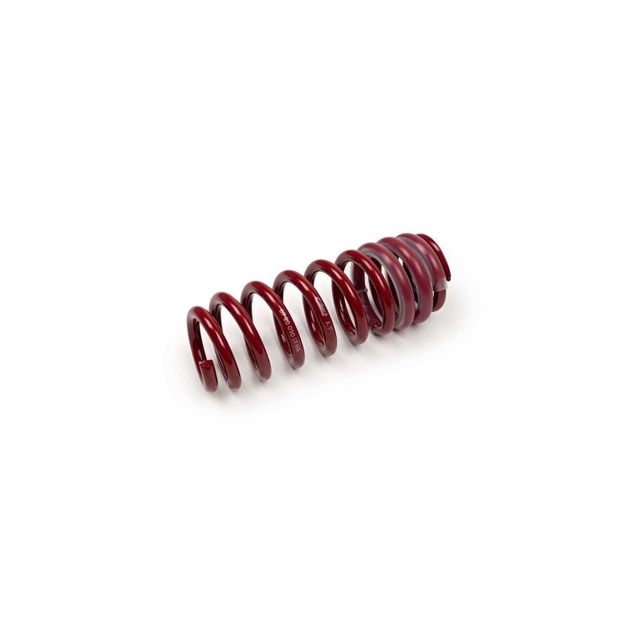 MTS Technik BMW Coil Spring - GWFE34HA Spare Parts | ML Performance UK Car Parts