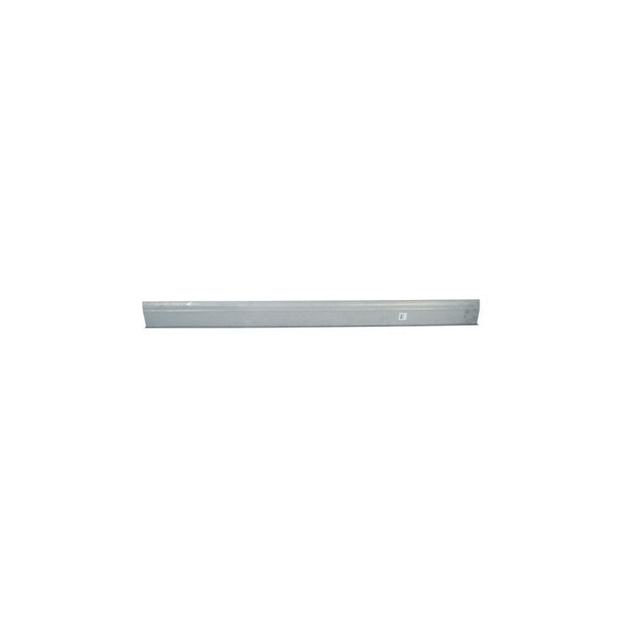 Blic 6601-01-2530833P Repair Panel For Ford Escort
