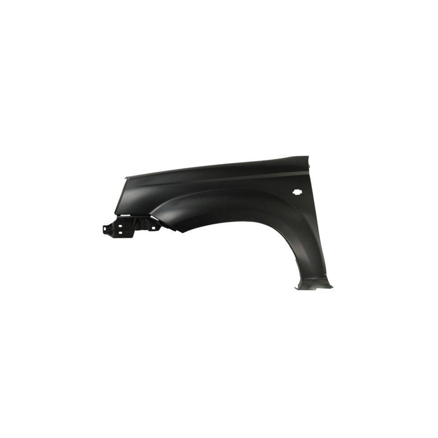 Blic 6504-04-1678313P Wing Fender for Nissan X-Trail (T30)