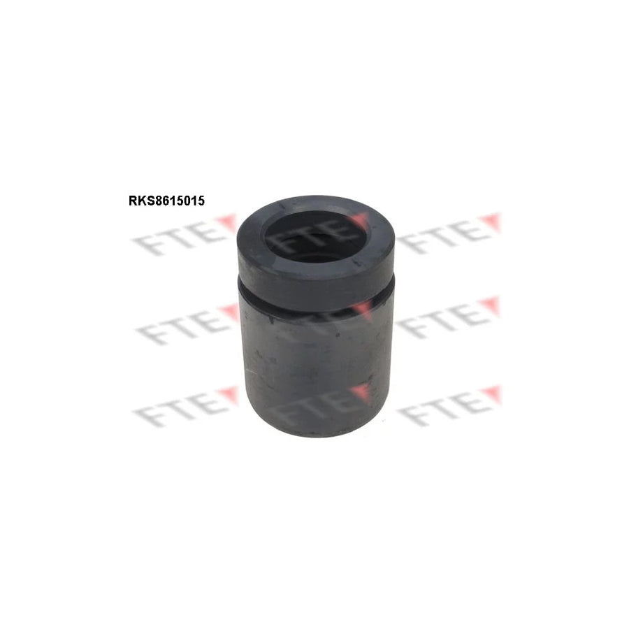 FTE 9313132 Piston, Brake Caliper for BMW 5 Saloon (E39)