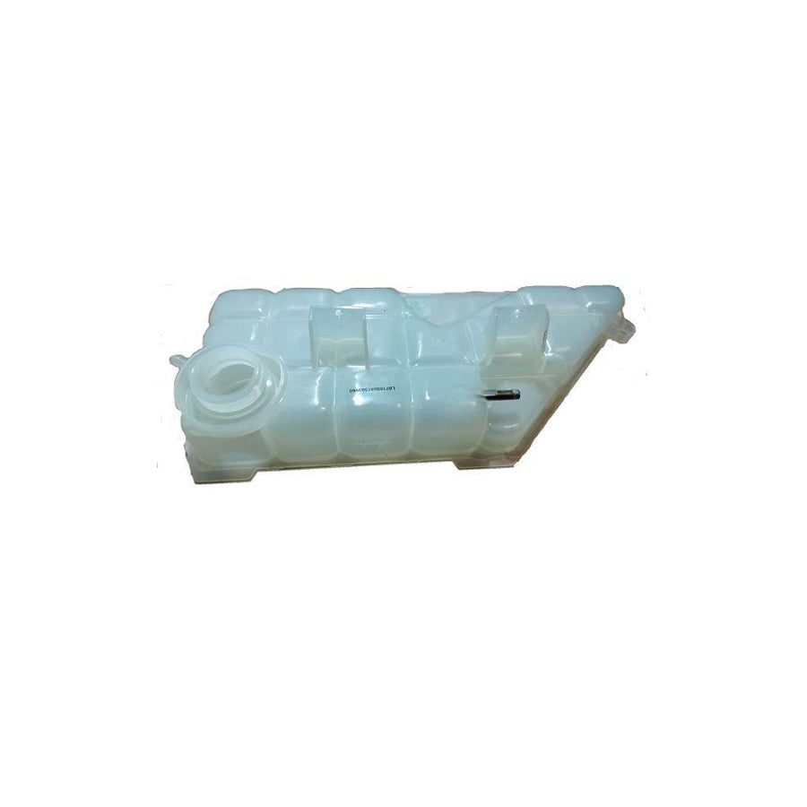 BUGIAD Bmc19005 Coolant Expansion Tank Suitable for Mercedes-Benz ML-Class (W163)