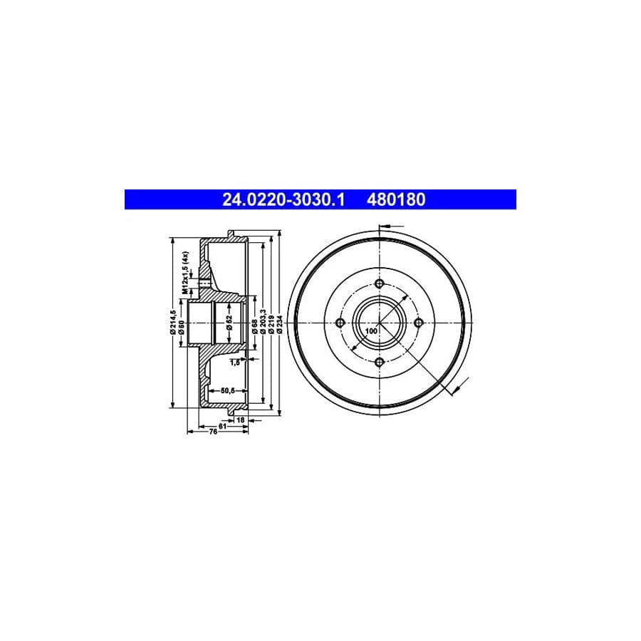 ATE 24.0220-3030.1 Brake Drum