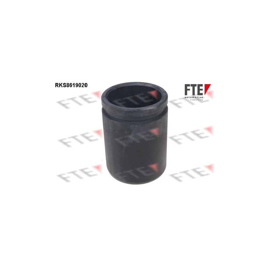 FTE 9313162 Piston, Brake Caliper
