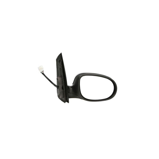 Blic 5402-04-0305691P Wing Mirror for Ford Transit