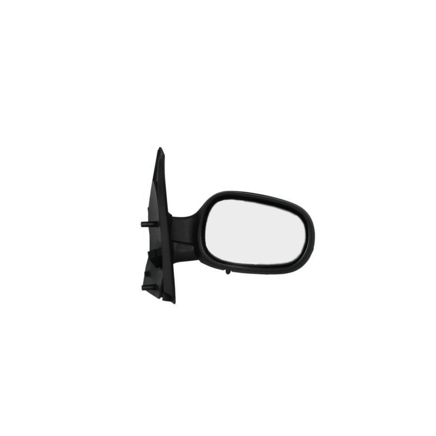 Blic 5402-04-1129232P Wing Mirror for Renault Scénic I (Ja0/1, Fa0)