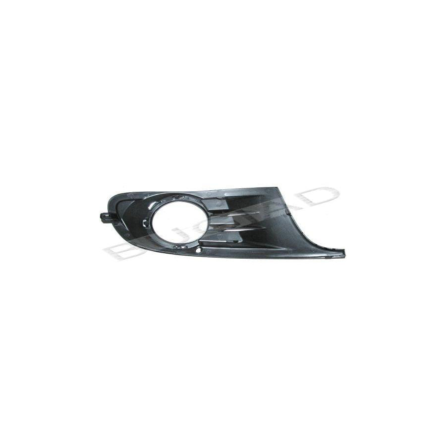 BUGIAD Bsp21875 Bumper Grill for VW Golf