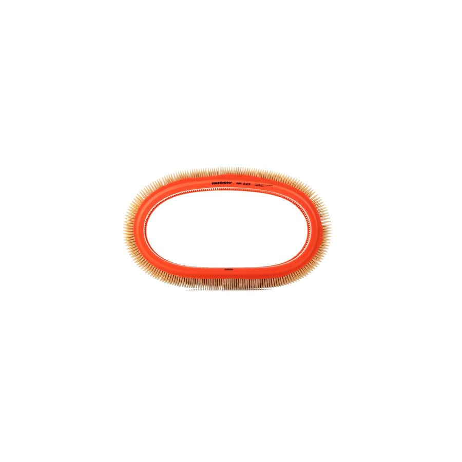 Filtron Ar 229 Air Filter