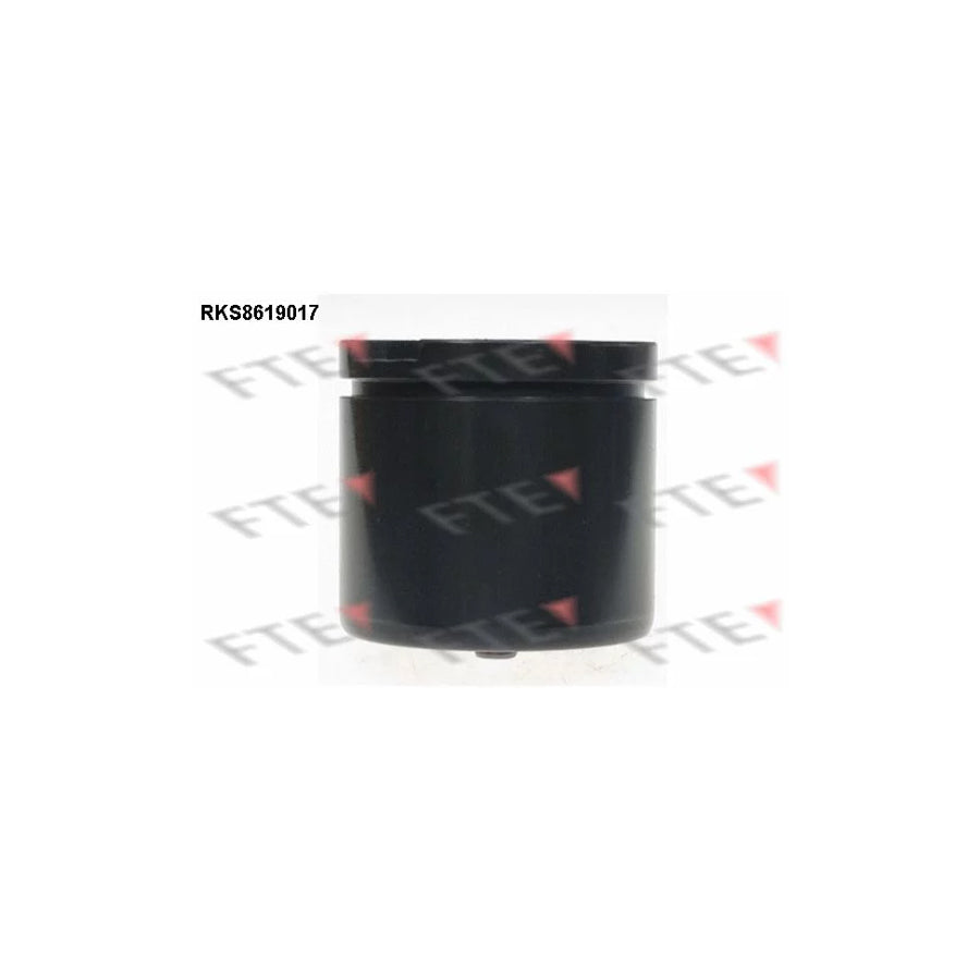 FTE 9313159 Piston, Brake Caliper