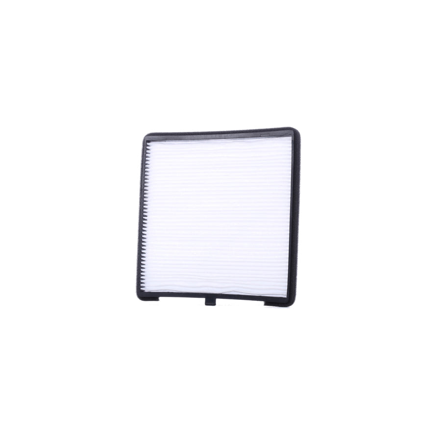 Master Sport 1910-IF-PCS-MS Pollen Filter