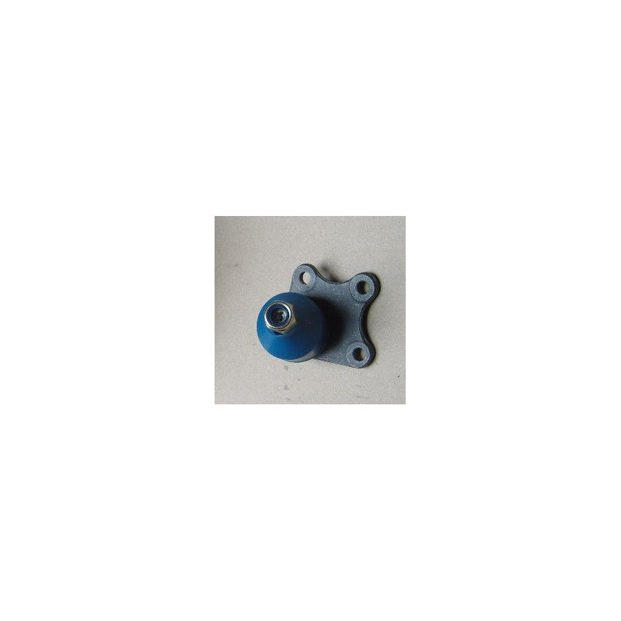 BUGIAD Bsp20370 Ball Joint