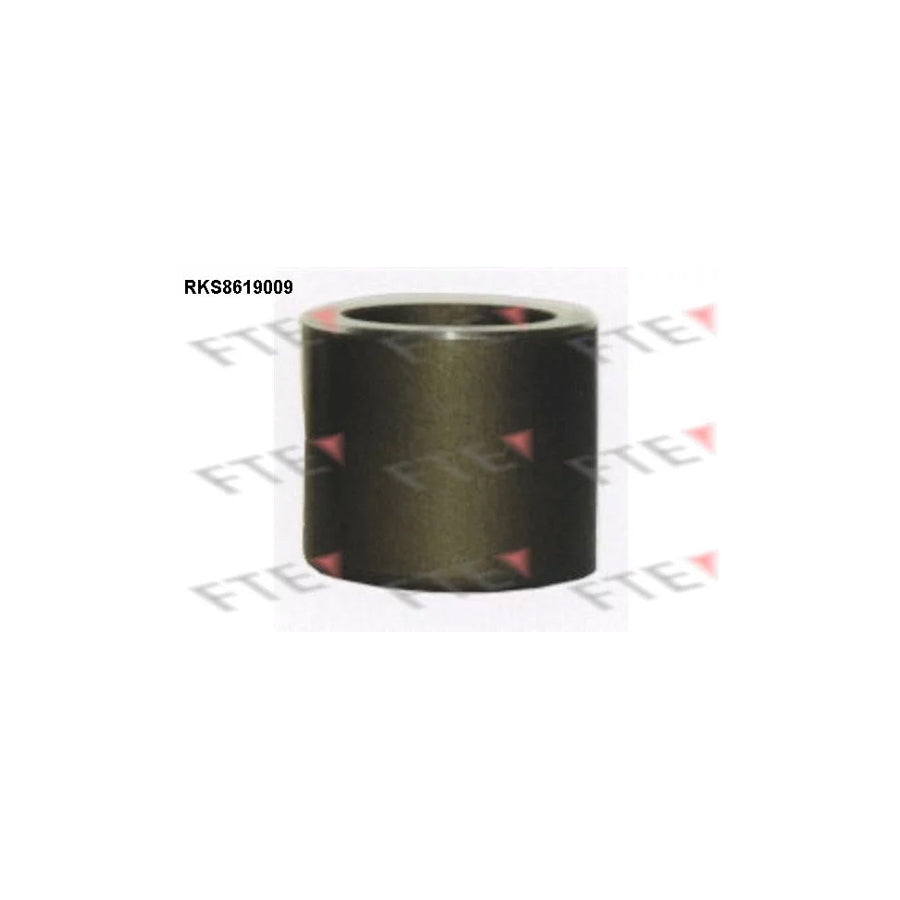 FTE 9313152 Piston, Brake Caliper