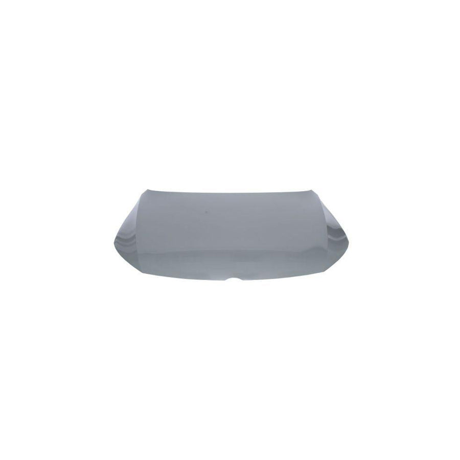Blic 6803-00-9540282P Bonnet for VW CC (358)