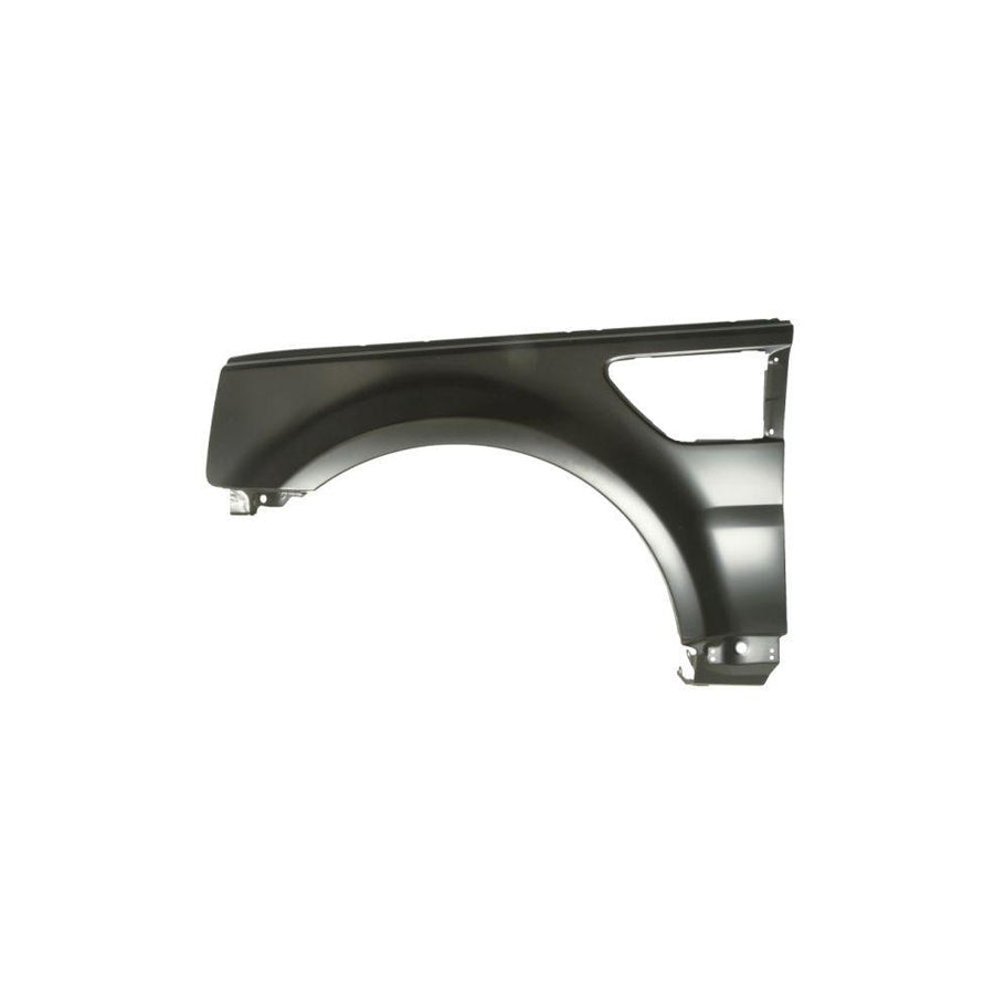 Blic 6504-04-2001311P Wing Fender for Land Rover Range Rover Sport (L320)