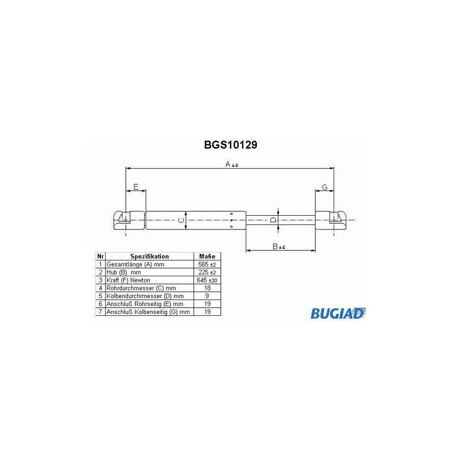 BUGIAD Bgs10129 Tailgate Strut for Ford Fiesta Mk3 Hatchback (Gfj)