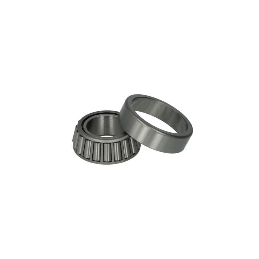 BTA B01-2190 Wheel Bearing