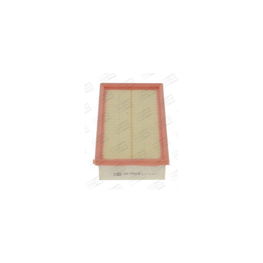Champion Caf100614P Air Filter for Ford Transit