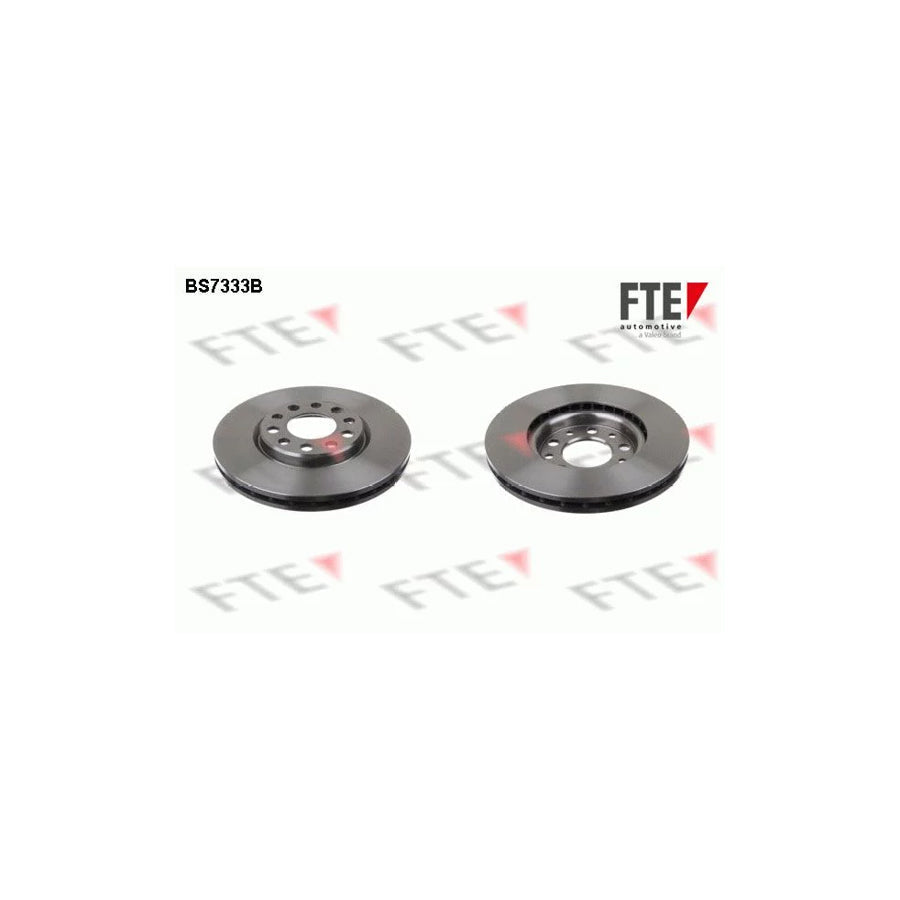 FTE 9082021 Brake Disc