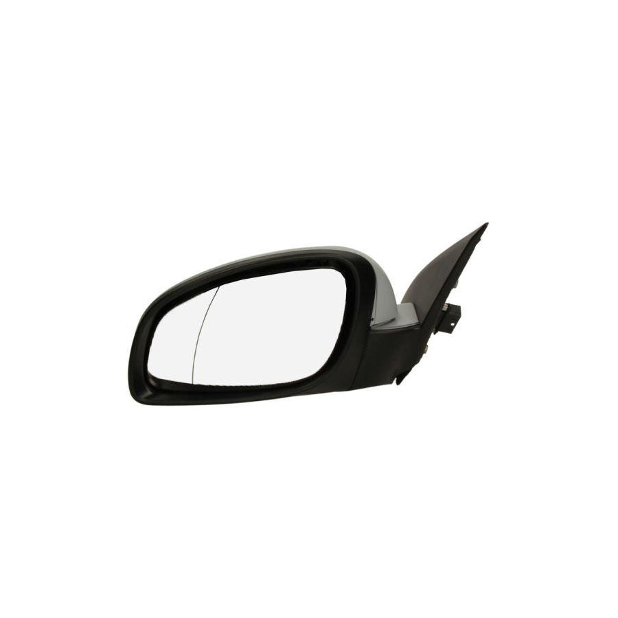 Blic 5402-04-1129226P Wing Mirror