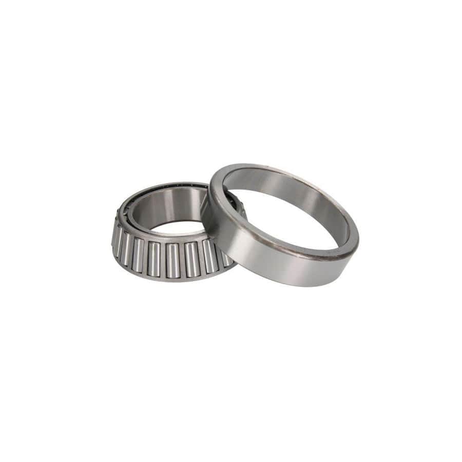 BTA B01-33116 Wheel Bearing