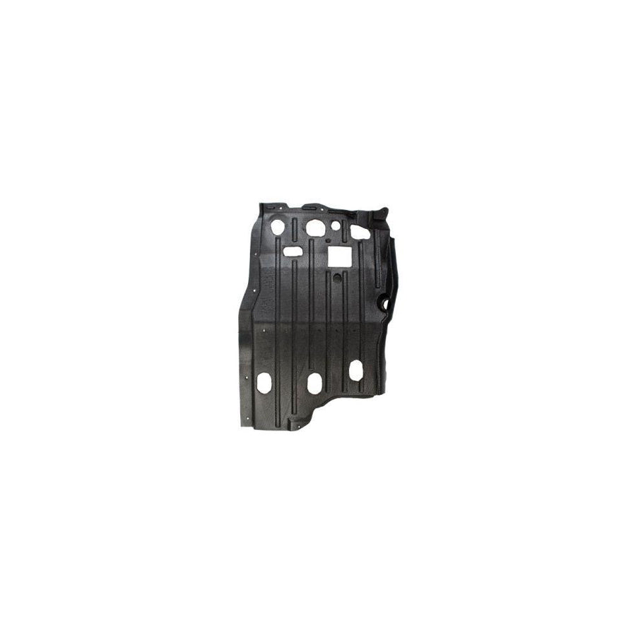 Blic 6601-02-1670873P Engine Cover for Nissan Primera