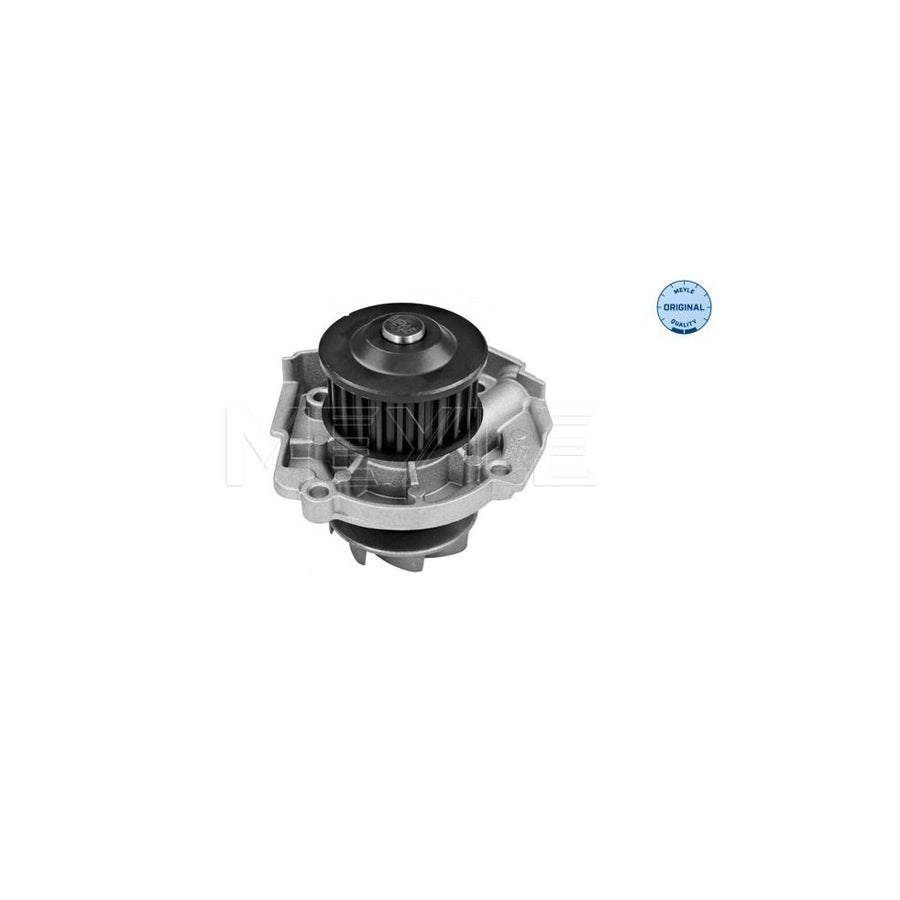 Meyle 213 220 0001 Water Pump