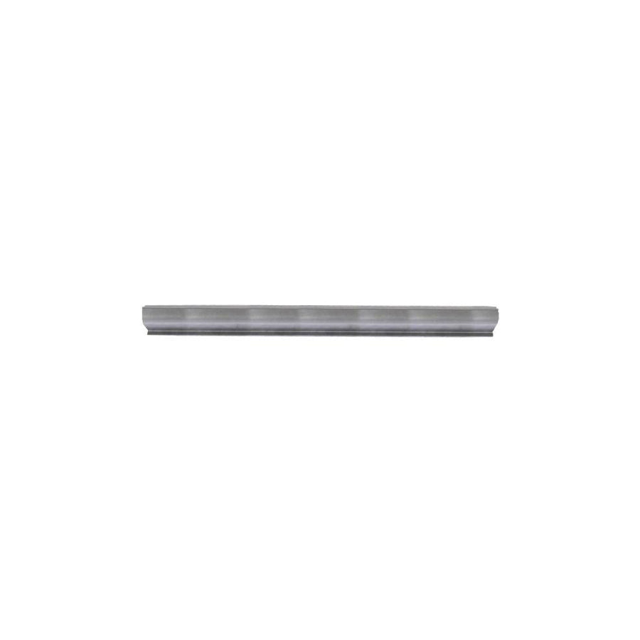 Blic 6505-06-0517012P Rocker Panel for Citroen Ax