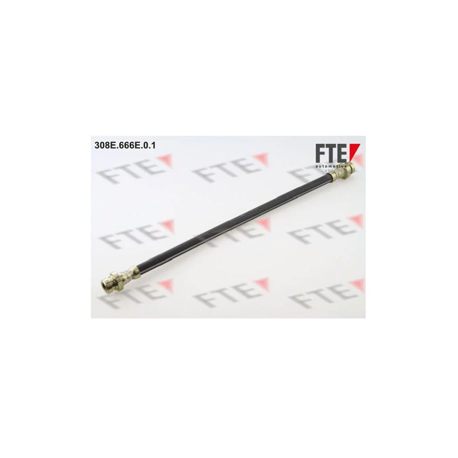 FTE 9240474 Brake Hose for Hyundai Matrix (Fc)