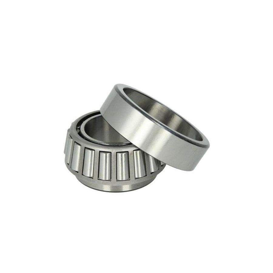 BTA B01-528983 Wheel Bearing