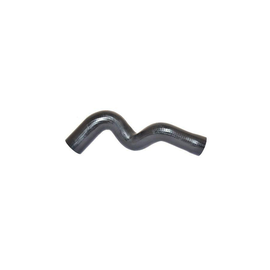 BUGIAD 88714 Charger Intake Hose for Peugeot 307