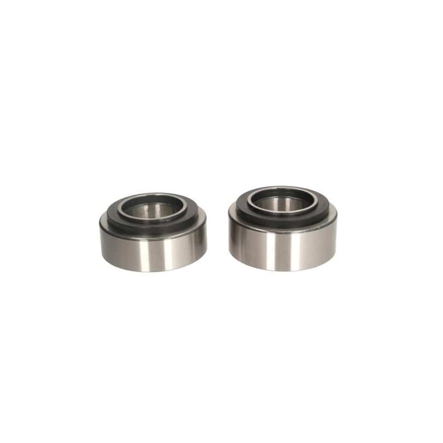 BTA B01-9955401 Wheel Bearing