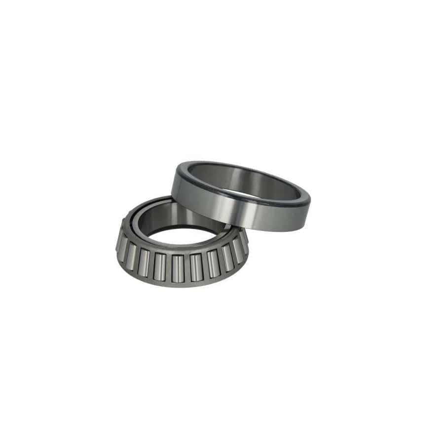 BTA B01-99041075 Wheel Bearing