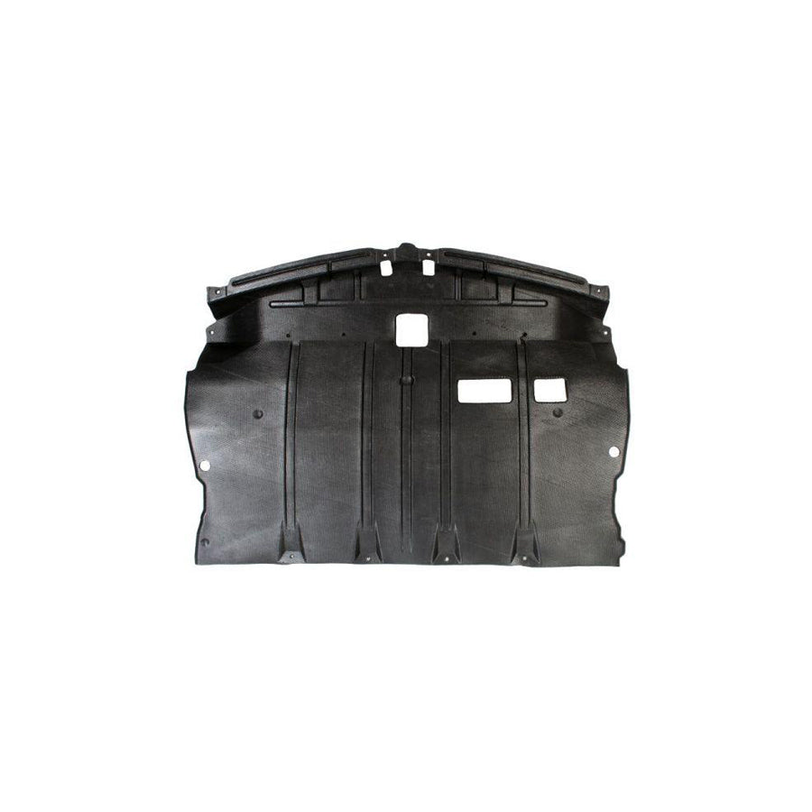 Blic 6601-02-1670860P Engine Cover for Nissan Primera