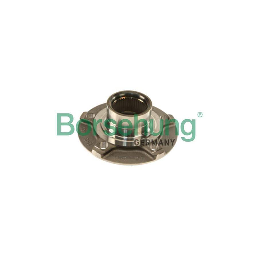 Borsehung B18957 Wheel Hub