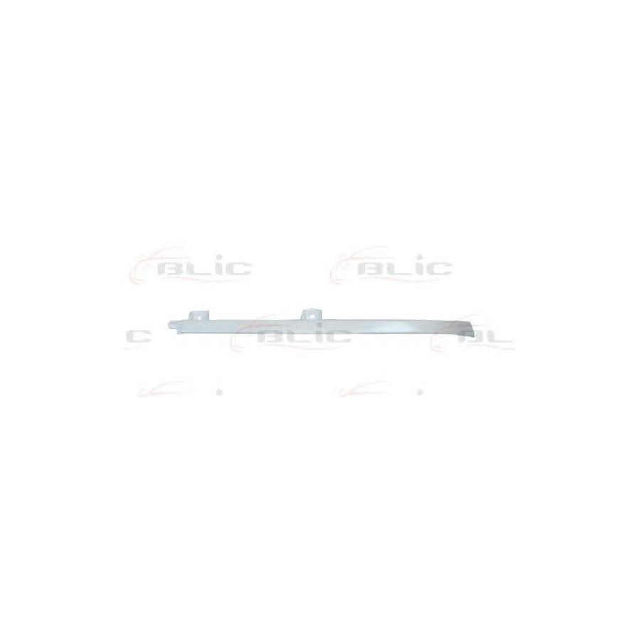 Blic 6502-07-1666992P Headlight Trim for Nissan Primera
